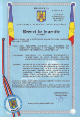 Brevet1.png